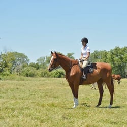 Meinpferde Farm - Hunt Field out back.