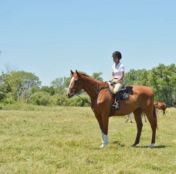 Meinpferde Farm - equestrian in Deerfield, WI
