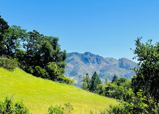 Trione-Annadel State Park by null