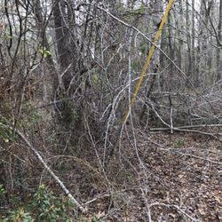 Tallapoosa River Electric Cooperative