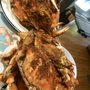 Photo of Bob Evans Seafood