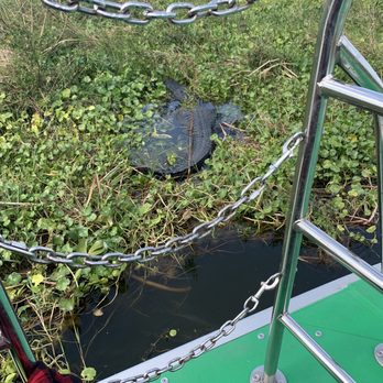 Florida Airboat Excursions - Boating Near Me - Fellsmere, Florida