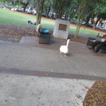 Lake Eola Park - Parks Near Me - Orlando, Florida