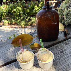 The Bernardo Winery Sweet Shoppe - Two medium sized cups filled with vanilla gelato and pistachio gelato.