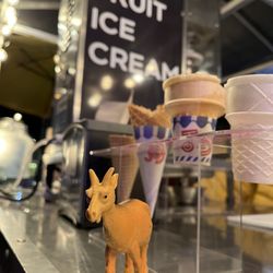 Chillberg Real Fruit Ice Cream - Murchison "aka Murch" is our fearless adventure companion often leading the way! He hails from the South Island of New Zealand.