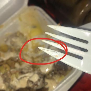 Osmow's Shawarma - Beard hair in my food. SECOND TIME THIS HAPPENS. - Middle Eastern Near Me - Scarborough, Ontario Osmow's Shawarma - Beard hair in my food. SECOND TIME THIS HAPPENS. - Middle Eastern Near Me - Scarborough, Ontario