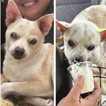 PetSmart - Pet Training Near Me - Las Vegas, Nevada PetSmart - Pet Training Near Me - Las Vegas, Nevada