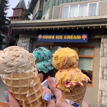 COWS - Cookie moonster , peach Melba, cownadian maple - Ice Cream & Frozen Yogurt Near Me - Whistler, British Columbia COWS - Cookie moonster , peach Melba, cownadian maple - Ice Cream & Frozen Yogurt Near Me - Whistler, British Columbia