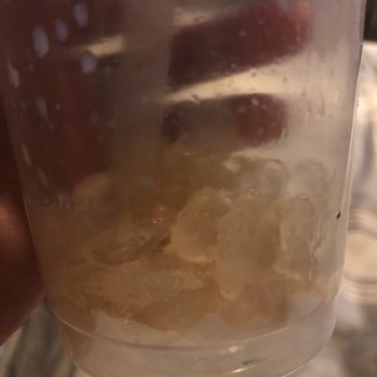 Sharetea Columbus - Milk Tea Ice Blended with Pearl - Bubble Tea Near Me - Dublin, Ohio
