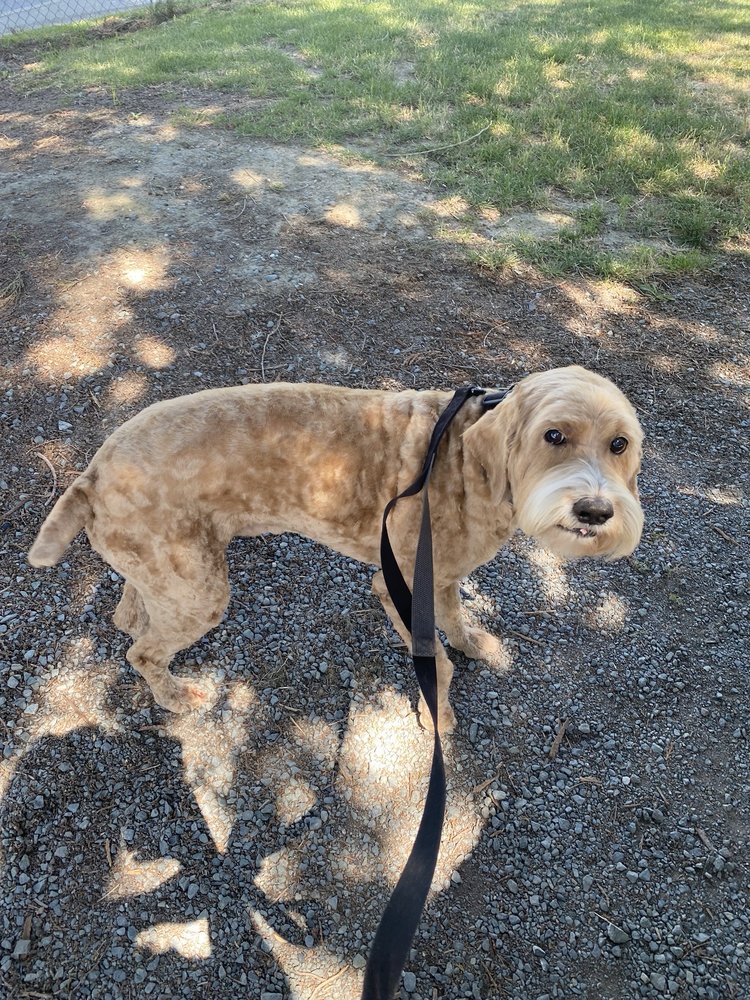 Jee Jac Kennels Image