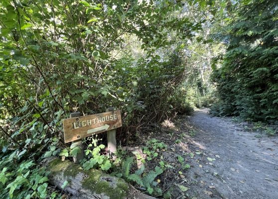 Point Robinson Lighthouse by null