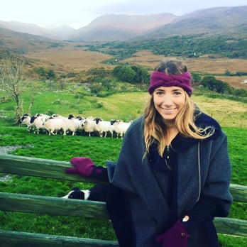 Kissane Sheep Farm - Dash showing us how it was done while herding the sheep! - Farms Near Me - Kenmare, Kentucky