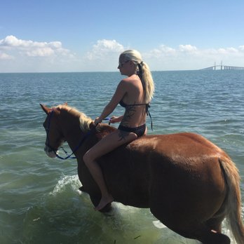 WaterHorses - Horseback Riding Near Me - Saint Petersburg, Florida WaterHorses - Horseback Riding Near Me - Saint Petersburg, Florida