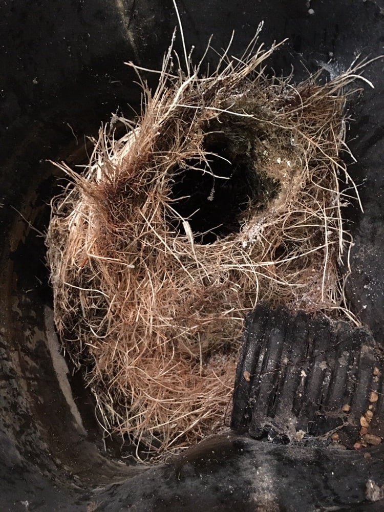 Slide of Balanced Plumbing