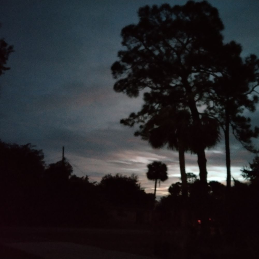 Trulieve Vero Beach Dispensary - A dark storm over trulieve - Cannabis Clinics Near Me - Vero Beach, Florida Trulieve Vero Beach Dispensary - A dark storm over trulieve - Cannabis Clinics Near Me - Vero Beach, Florida