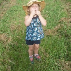 Hillcrest Blueberry Farm - Yummy