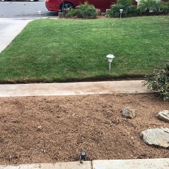 Lucero Tree Care - After tree stump removal and now ready to plant some roses. - Tree Services Near Me