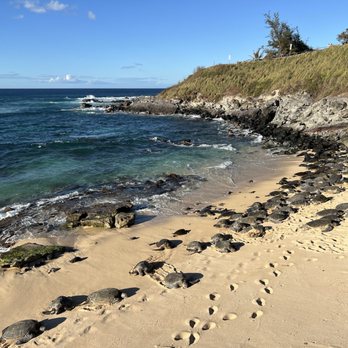 Hookipa Beach Park - Parks Near Me - Paia, Hawaii Hookipa Beach Park - Parks Near Me - Paia, Hawaii