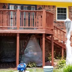 Wolf Pride