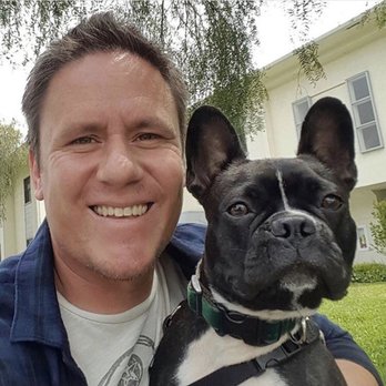 Healthy Dog - Dog Walkers Near Me