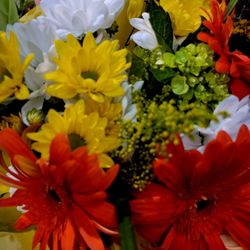 Lidl - Gorgeous flowers!