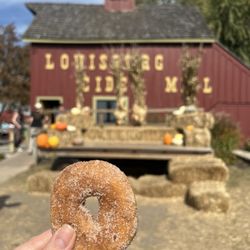Louisburg Cider Mill - Cider donut