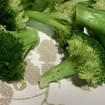 Saigon Noodle House - Broccoli with maggot - Vietnamese Near Me - Crofton, Maryland