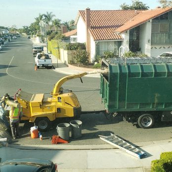 Dr Rogers Tree Service - Clean up! - Tree Services Near Me