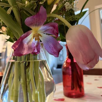 Lake Eola Florist - Florists Near Me - Orlando, Florida Lake Eola Florist - Florists Near Me - Orlando, Florida
