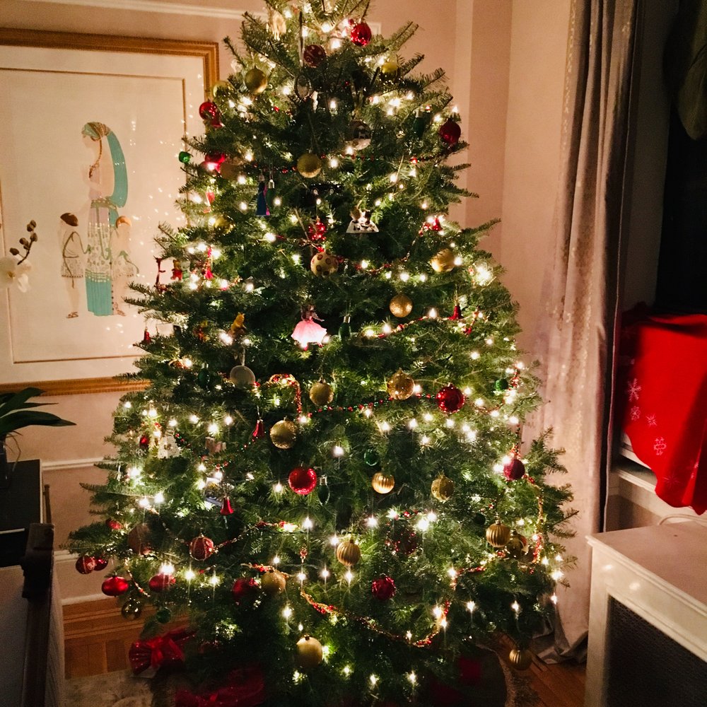 NYC Trees - Christmas Trees Near Me - New York, New York NYC Trees - Christmas Trees Near Me - New York, New York