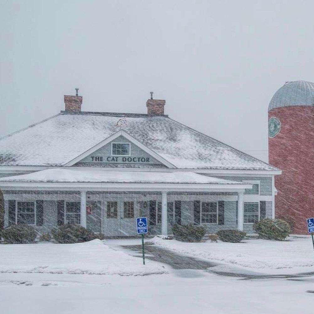 The Cat Doctor - The practice in winter. - Veterinarians Near Me - Nashua, New Hampshire