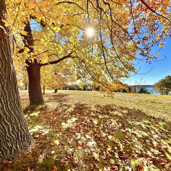 World's End - Parks Near Me - Hingham, Massachusetts