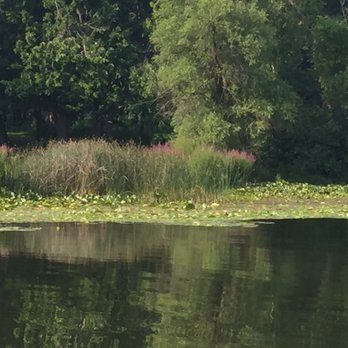 Coon Lake Beach & Park - Beaches Near Me - Columbus, Minnesota Coon Lake Beach & Park - Beaches Near Me - Columbus, Minnesota
