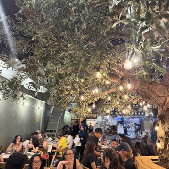 Ayat - Middle Eastern Near Me - Astoria, New York