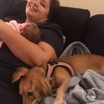 Nancy Nurturing Doula & Newborn Care Services - You know it's a great sign when your dog wants to cuddle your baby nurse too!!! Dogs know good people and good energy!!! - Doulas Near Me Nancy Nurturing Doula & Newborn Care Services - You know it's a great sign when your dog wants to cuddle your baby nurse too!!! Dogs know good people and good energy!!! - Doulas Near Me