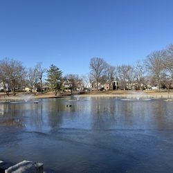 Bowne Park