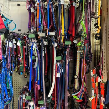Already Been Chewed - Collars and leashes - Pet Stores Near Me - Virginia Beach, Virginia Already Been Chewed - Collars and leashes - Pet Stores Near Me - Virginia Beach, Virginia