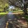 Photo of Josephine Waugh - Soroptimist Park