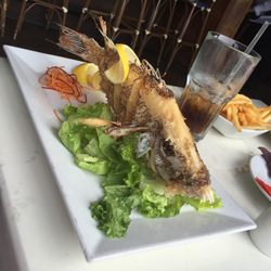 Wermsdorfer Fisch