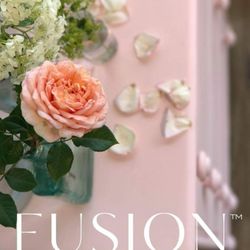 Paint B'dazzle - Fusion Mineral Paint has become a global leader in specialty furniture, cabinet and decor paint