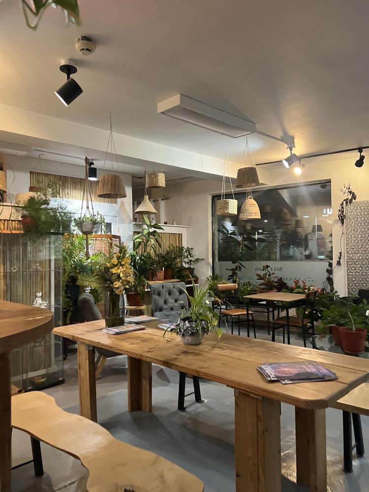 ATMANANDA YOGA STUDIO - Updated April 2026 - 28 Photos & 30 Reviews ...