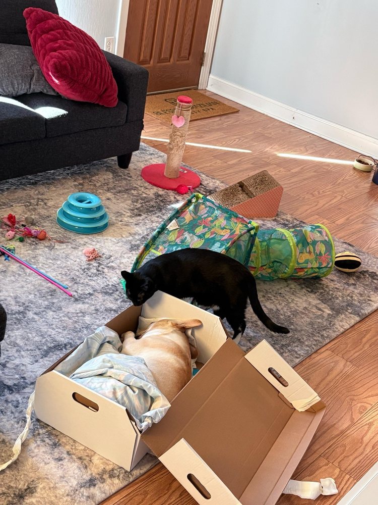 Tom's Pet Outlet - reptile breeding in Norristown, PA