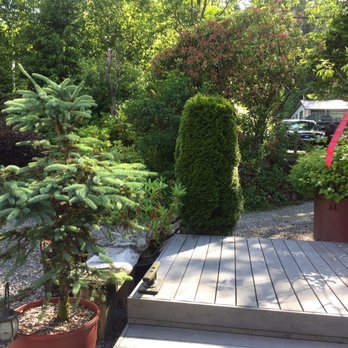 Black Bear Inn - Bed & Breakfast Near Me - Ketchikan, Alaska