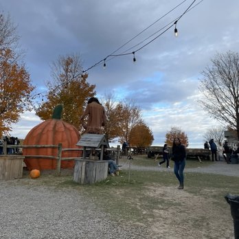 TIM’S PUMPKIN PATCH - Updated September 2025 - 100 Photos & 36 Reviews ...