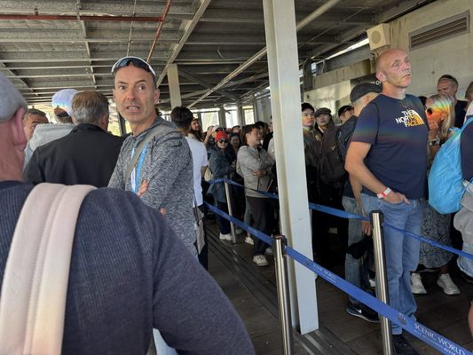 Scenic World by null