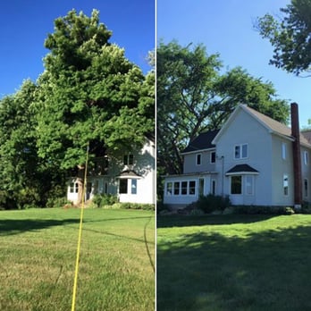 O'Neil Tree Service - Tree Services Near Me O'Neil Tree Service - Tree Services Near Me