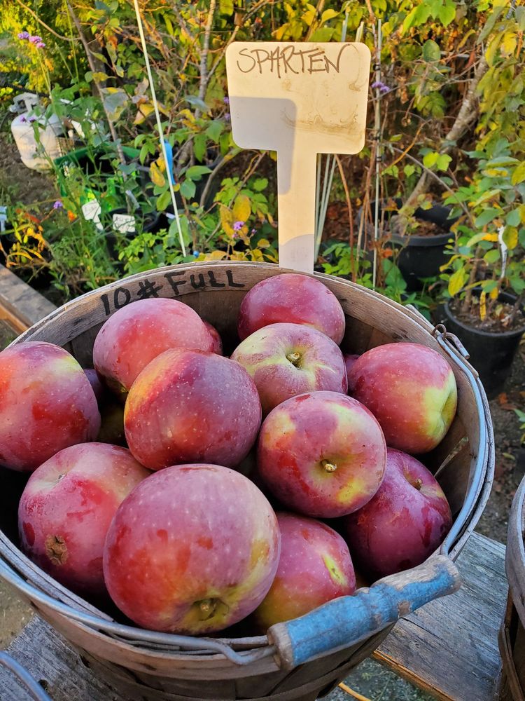 Skipley Farm - beekeeping in Snohomish, WA