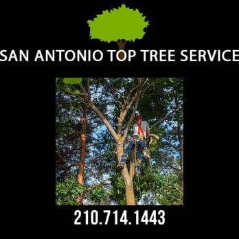 San Antonio Top Tree Service - Residential Tree Pruning - Tree Services Near Me - San Antonio, Texas San Antonio Top Tree Service - Residential Tree Pruning - Tree Services Near Me - San Antonio, Texas