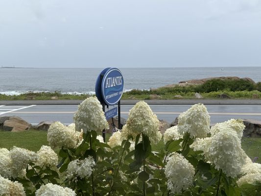 Atlantis Oceanfront Inn Hotel & Breakfast Café In Gloucester, MA by null