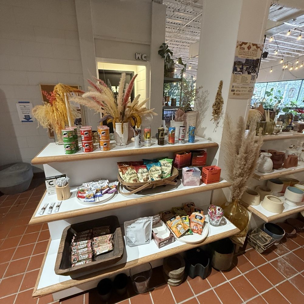 Black Phin - Coffee & Tea Near Me - Winter Park, Florida Black Phin - Coffee & Tea Near Me - Winter Park, Florida